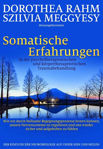 Somatische erfahrungen der - erfahrungen,