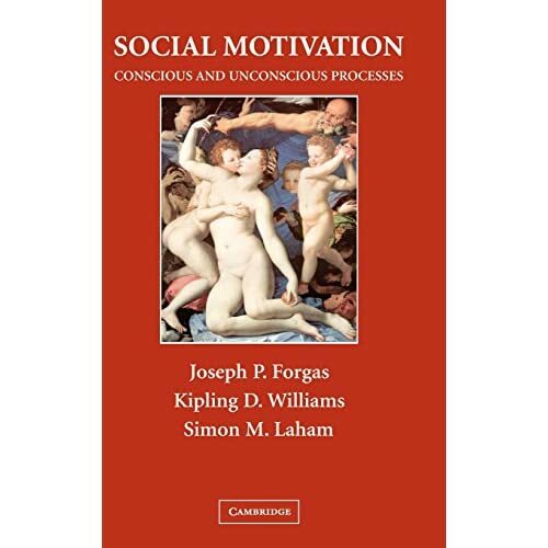 Social motivation conscious - social,